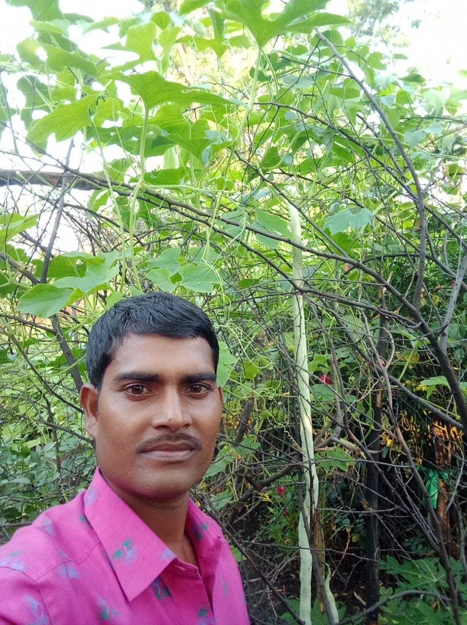 IMG-20210918-WA0095